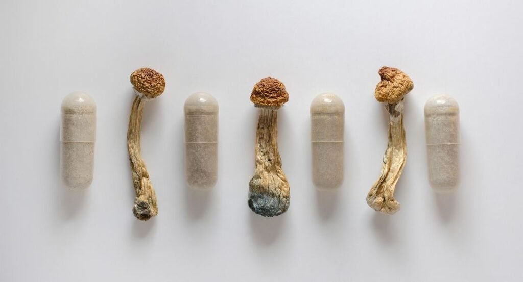 Psilocybin Mushrooms in Canada