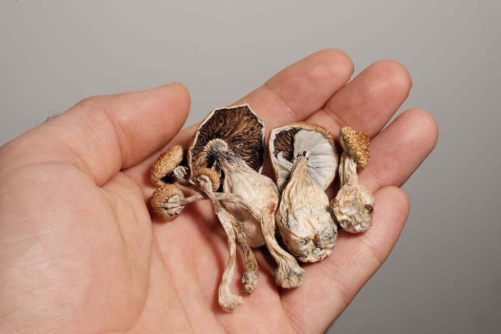 Psilocybin Mushrooms in Canada Since January 2022, Health Canada’s Special Access Program allows physicians or regulated practitioners to request psilocybin for patients when: The patient has a serious or life-threatening condition, and Conventional treatments have failed, are unsuitable, or unavailable. SAP access must be requested by a doctor on behalf of the patient, and is decided case-by-case. SAP now includes restricted drugs like psilocybin for therapeutic use if sufficient evidence and need are demonstrated.