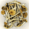 Psilocybe Cubensis Mexicana Canada: